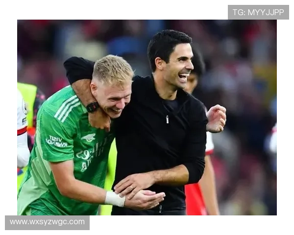 南安普顿足球俱乐部历史成就与发展历程全解析