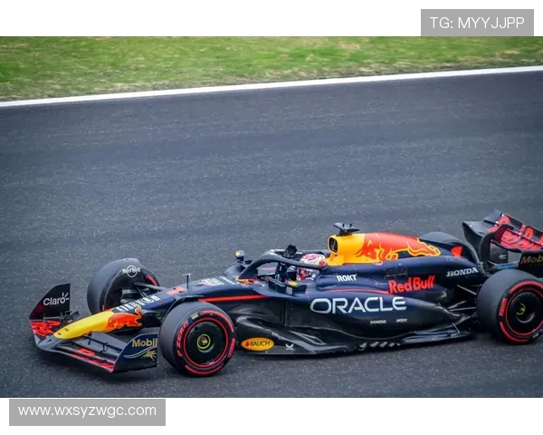 维斯塔潘再度称王F1赛季收官红牛车队强势统治全场