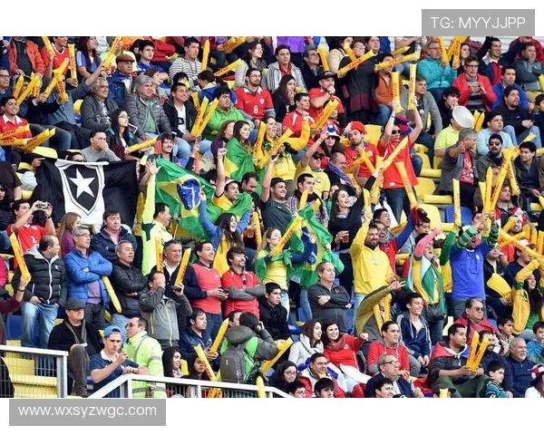 足球世界杯小组赛激战正酣 多支强队晋级形势严峻